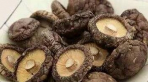香菇價格行情為何波動大？菇農和批發商都值得了解