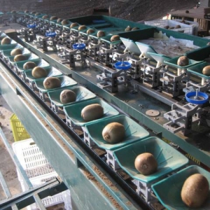 選果機(jī)多少錢一臺，全面分析選果機(jī)價(jià)格差異原因