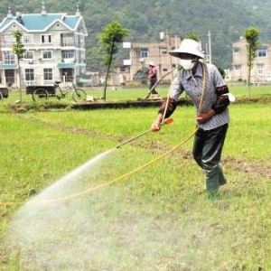 除草劑廠家排名分析，哪些除草劑廠家值得選